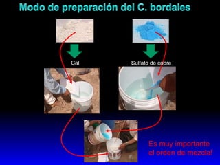 Cal Sulfato de cobre
Es muy importante
el orden de mezcla!
 