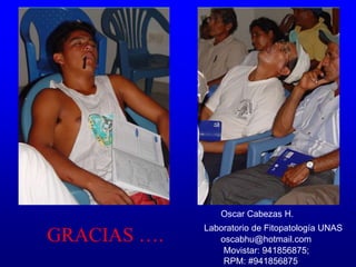 GRACIAS ….
Oscar Cabezas H.
Laboratorio de Fitopatología UNAS
oscabhu@hotmail.com
Movistar: 941856875;
RPM: #941856875
 