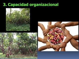 3. Capacidad organizacional
 