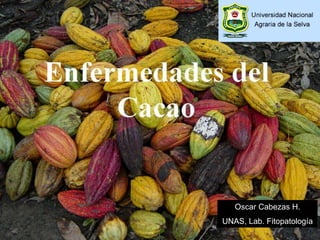 Oscar Cabezas H.
UNAS, Lab. Fitopatología
 
