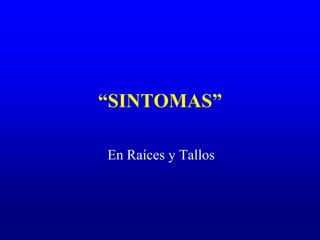 “SINTOMAS”
En Raíces y Tallos
 