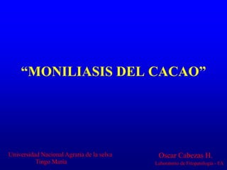 “MONILIASIS DEL CACAO”
Universidad Nacional Agraria de la selva
Tingo María
Oscar Cabezas H.
Laboratorio de Fitopatología - FA
 