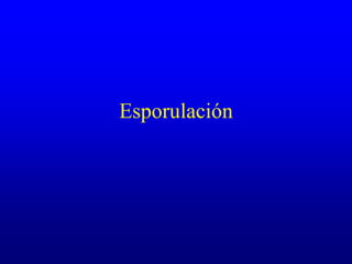 Esporulación
 