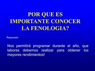 POR QUE ES
IMPORTANTE CONOCER
LA FENOLOGIA?
Respuesta:
Nos permitirá programar durante el año, que
labores debemos realizar para obtener los
mayores rendimientos!
 
