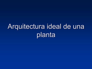 Arquitectura ideal de una
planta
 