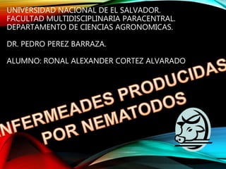 UNIVERSIDAD NACIONAL DE EL SALVADOR.
FACULTAD MULTIDISCIPLINARIA PARACENTRAL.
DEPARTAMENTO DE CIENCIAS AGRONOMICAS.
DR. PEDRO PEREZ BARRAZA.
ALUMNO: RONAL ALEXANDER CORTEZ ALVARADO
 