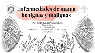 Por: Anette Paulina Vázquez Cruz
Bloque 604
E.E. Ginecología
Docente: Dr. Humberto Hernández Ojeda
Abril, 2022
Enfermedades de mama
benignas y malignas
 