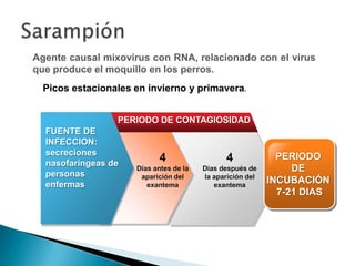 Enfermedades exantematicas | PPTX