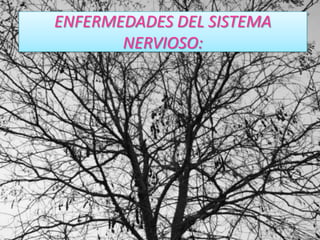 ENFERMEDADES DEL SISTEMA
       NERVIOSO:
 