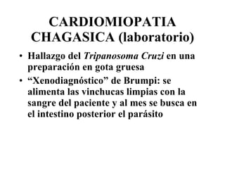 CARDIOMIOPATIA CHAGASICA (laboratorio) Hallazgo del  Tripanosoma Cruzi  en una preparación en gota gruesa “ Xenodiagnóstico” de Brumpi: se alimenta las vinchucas limpias con la sangre del paciente y al mes se busca en el intestino posterior el parásito 