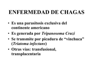 ENFERMEDAD DE CHAGAS Es una parasitosis exclusiva del continente americano Es generada por  Tripanosoma Cruzi Se transmite por picadura de “vinchuca” ( Triatoma infectans )   Otras vías: transfusional, transplacentaria  