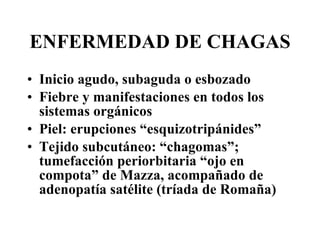 ENFERMEDAD DE CHAGAS Inicio agudo, subaguda o esbozado Fiebre y manifestaciones en todos los sistemas orgánicos Piel: erupciones “esquizotripánides” Tejido subcutáneo: “chagomas”; tumefacción periorbitaria “ojo en compota” de Mazza, acompañado de adenopatía satélite (tríada de Romaña) 