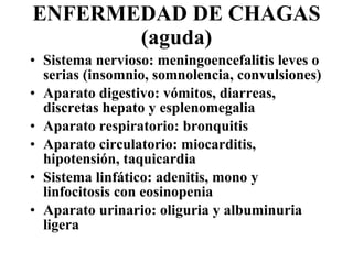 ENFERMEDAD DE CHAGAS (aguda) Sistema nervioso: meningoencefalitis leves o serias (insomnio, somnolencia, convulsiones) Aparato digestivo: vómitos, diarreas, discretas hepato y esplenomegalia Aparato respiratorio: bronquitis Aparato circulatorio: miocarditis, hipotensión, taquicardia Sistema linfático: adenitis, mono y linfocitosis con eosinopenia Aparato urinario: oliguria y albuminuria ligera 