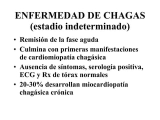 ENFERMEDAD DE CHAGAS (estadio indeterminado) Remisión de la fase aguda Culmina con primeras manifestaciones de cardiomiopatía chagásica Ausencia de síntomas, serología positiva, ECG y Rx de tórax normales 20-30% desarrollan miocardiopatía chagásica crónica 