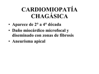 CARDIOMIOPATÍA CHAGÁSICA Aparece de 2° a 4° década Daño miocárdico microfocal y diseminado con zonas de fibrosis Aneurisma apical 