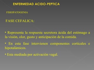 FISIOPATOGENIA


FASE CEFALICA:


• Representa la respuesta secretora ácida del estómago a
la visión, olor, gusto y anticipación de la comida.
• En esta fase intervienen componentes corticales e
hipotalàmicos.
• Esta mediada por activación vagal.
 