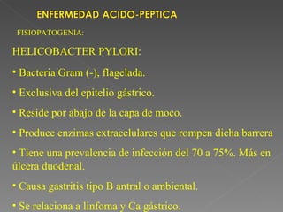 FISIOPATOGENIA:

HELICOBACTER PYLORI:
• Bacteria Gram (-), flagelada.
• Exclusiva del epitelio gástrico.
• Reside por abajo de la capa de moco.
• Produce enzimas extracelulares que rompen dicha barrera
• Tiene una prevalencia de infección del 70 a 75%. Más en
úlcera duodenal.
• Causa gastritis tipo B antral o ambiental.
• Se relaciona a linfoma y Ca gástrico.
 