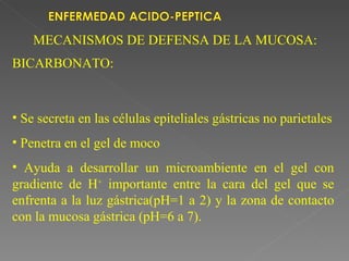 MECANISMOS DE DEFENSA DE LA MUCOSA:
BICARBONATO:



• Se secreta en las células epiteliales gástricas no parietales
• Penetra en el gel de moco
• Ayuda a desarrollar un microambiente en el gel con
gradiente de H+ importante entre la cara del gel que se
enfrenta a la luz gástrica(pH=1 a 2) y la zona de contacto
con la mucosa gástrica (pH=6 a 7).
 