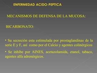 MECANISMOS DE DEFENSA DE LA MUCOSA:

BICARBONATO:


• Su secreción esta estimulada por prostaglandinas de la
serie E y F, así como por el Calcio y agentes colinérgicos
• Se inhibe por AINES, acetazolamida, etanol, tabaco,
agentes alfa adrenérgicos.
 