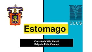 Estomago
Castañeda Villa Ahtziri
Delgado Félix Vianney
 