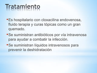 •Es hospitalario con cloxacilina endovenosa,
fluido terapia y curas tópicas como un gran
quemado.
•Se suministran antibióticos por vía intravenosa
para ayudar a combatir la infección.
•Se suministran líquidos intravenosos para
prevenir la deshidratación
 