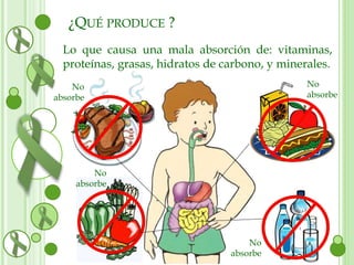 ¿QUÉ PRODUCE ? 
Lo que causa una mala absorción de: vitaminas, 
proteínas, grasas, hidratos de carbono, y minerales. 
No 
absorbe 
No 
absorbe 
No 
absorbe 
No 
absorbe 
 