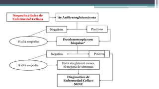 Positivos
Ac Antitransglutaminasa
Negativos
Sospecha clínica de
Enfermedad Celiaca
Duodenoscopia con
biopsias*
Negativa Positiva
Si alta sospecha
Si alta sospecha
Dieta sin gluten 6 meses.
Si mejoría de síntomas
Diagnostico de
Enfermedad Celia o
SGNC
 