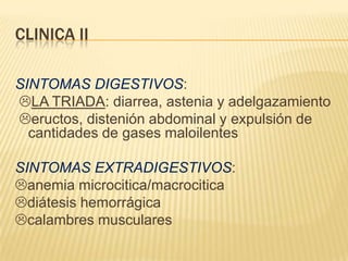 CLINICA II

SINTOMAS DIGESTIVOS:
LA TRIADA: diarrea, astenia y adelgazamiento
eructos, distenión abdominal y expulsión de
  cantidades de gases maloilentes

SINTOMAS EXTRADIGESTIVOS:
anemia microcitica/macrocitica
diátesis hemorrágica
calambres musculares
 