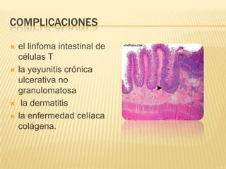 COMPLICACIONES

   el linfoma intestinal de
    células T
   la yeyunitis crónica
    ulcerativa no
    granulomatosa
    la dermatitis
   la enfermedad celíaca
    colágena.
 