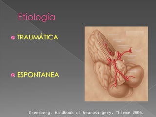    TRAUMÁTICA




   ESPONTANEA




      Greenberg. Handbook of Neurosurgery. Thieme 2006.
 