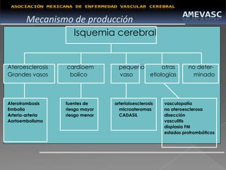 Mecanismo de producción
                     Isquemia cerebral


Ateroesclerosis   cardioem         pequeño      otras            no deter-
Grandes vasos      bolico          vaso    etiologías             minado




Aterotrombosis    fuentes de     arterioloesclerosis   vasculopatía
Embolia           riesgo mayor     microateromas       no ateroesclerosa
Arteria-arteria   riesgo menor     CADASIL             disección
Aortoembolismo                                         vasculitis
                                                       displasia FM
                                                       estados protrombóticos
 
