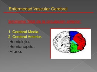 Síndrome Total de la circulación anterior:

1. Cerebral Media.
2. Cerebral Anterior.
-Hemiplejia.
-Hemianopsia.
-Afasia.
 