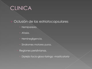 › Oclusión de las estriatocapsulares
      Hemiparesia.

      Afasia.

      Heminegligencia.

      Sindromes motores puros.

    Regiones perisilvianas.

      Diplejia facio-gloso-faringo -masticatoria.
 