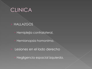 › HALLAZGOS

   Hemiplejia contralateral.

   Hemianopsia homonima.

› Lesiones en el lado derecho

   Negligencia espacial izquierda.
 