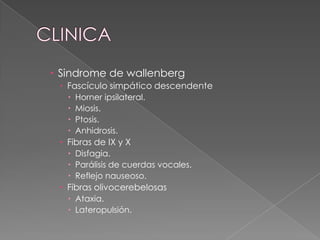  Sindrome de wallenberg
  Fascículo simpático descendente
      Horner ipsilateral.
      Miosis.
      Ptosis.
      Anhidrosis.
  Fibras de IX y X
    Disfagia.
    Parálisis de cuerdas vocales.
    Reflejo nauseoso.
  Fibras olivocerebelosas
    Ataxia.
    Lateropulsión.
 