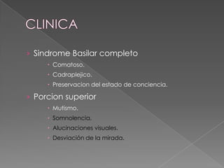 › Sindrome Basilar completo
      Comatoso.
      Cadraplejico.
      Preservacion del estado de conciencia.

› Porcion superior
      Mutismo.
      Somnolencia.
      Alucinaciones visuales.
      Desviación de la mirada.
 
