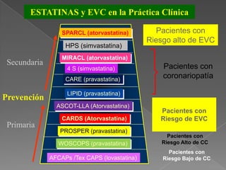 ESTATINAS y EVC en la Práctica Clínica

                  SPARCL (atorvastatina)          Pacientes con
                                               Riesgo alto de EVC
                   HPS (simvastatina)
                  MIRACL (atorvastatina)
 Secundaria                                        Pacientes con
                    4 S (simvastatina)
                   CARE (pravastatina)
                                                   coronariopatía

                    LIPID (pravastatina)
Prevención
                ASCOT-LLA (Atorvastatina)
                                                  Pacientes con
                  CARDS (Atorvastatina)           Riesgo de EVC
 Primaria
                 PROSPER (pravastatina)
                                                     Pacientes con
                 WOSCOPS (pravastatina)            Riesgo Alto de CC
                                                     Pacientes con
              AFCAPs /Tex CAPS (lovastatina)       Riesgo Bajo de CC
 