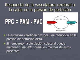 Ppc Normal Enfermedad cerebrovascular | PPT