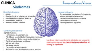 ENFERMEDAD CEREBRO VASCULAR
Hemisferio Izquierdo
• Afasia.
• Desviación de la mirada a la izquierda.
• Hemianopsia homónima derecha.
• Hemiparesia derecha.
• Hemihipoestesia derecha.
Hemisferio Derecho
• Anosognosia e heminatención izquierda.
• Mirada desviada a la derecha.
• Hemianopsia homónima izquierda.
• Hemiparesia izquierda.
• Hemihipoestesia izquierda.
Cerebelo y tallo cerebral
Signos cruzados.
• Hemiparesia o cuadriparesia.
• Pérdida de sensibilidad en los cuatro miembros.
• Anormalidades de los movimientos oculares.
• Debilidad orofaríngea o disfagia.
• Vértigo o tinnitus.
• Nausea y vómito.
• Depresión de la conciencia.
• Ataxia troncular, de miembros o de la marcha
Síndromes
Las áreas más frecuentemente afectadas por un evento
cerebrovascular son los hemisferios cerebrales, el
tallo y el cerebelo
CLINICA
 