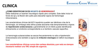 ¿COMO IDENTIFICAR SI ES INFARTO O HEMORRAGIA?
Debe realizarse un examen neurológico rápido pero completo. Este debe incluir el
fondo de ojo y la flexión del cuello para descartar signos de hemorragia
intracraneana.
Las características clínicas del ACV isquémico pueden ser idénticas a las de la
hemorragia, sin embargo esta última puede asociarse más tempranamente a signos
de hipertensión endocraneana y generalmente en el infarto puede identificarse
clínicamente un síndrome correspondiente a un territorio vascular específico.
La hemorragia subaracnoidea se asocia frecuentemente no sólo a hipertensión
endocraneana sino también a signos de irritación meníngea sin déficit neurológico
focal.
Las características clínicas nunca dan certeza absoluta y por esto es siempre
necesario realizar una TAC simple de urgencia.
ENFERMEDAD CEREBRO VASCULAR
CLINICA
 