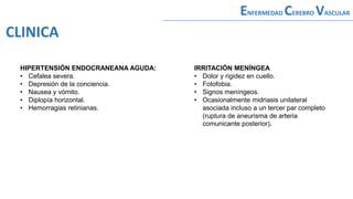 HIPERTENSIÓN ENDOCRANEANA AGUDA:
• Cefalea severa.
• Depresión de la conciencia.
• Nausea y vómito.
• Diplopía horizontal.
• Hemorragias retinianas.
IRRITACIÓN MENÍNGEA
• Dolor y rigidez en cuello.
• Fotofobia.
• Signos meníngeos.
• Ocasionalmente midriasis unilateral
asociada incluso a un tercer par completo
(ruptura de aneurisma de arteria
comunicante posterior).
ENFERMEDAD CEREBRO VASCULAR
CLINICA
 