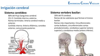 Sistema carotideo:
80% del Flujo Sanguíneo cerebral.
CD, CI: Carótida interna y externa.
Ramas terminales: Arteria cerebral media y
anterior.
Carótida interna: Arteria oftálmica, coroidea
anterior, comunicante posterior.
ENFERMEDAD CEREBRO VASCULAR
Irrigación cerebral
Sistema vertebro basilar:
20% del FS cerebral.
Ramas de las subclavias que forman el tronco
basilar.
Ramas más importantes: Circunferenciales
cortas bulbares, circunferenciales cortas
protuberenciales, cerebolosa superior (antero
superior) y cerebolosa media (antero inferior).
 