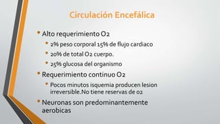 Circulación Encefálica
•Alto requerimientoO2
• 2% peso corporal 15% de flujo cardiaco
• 20% de total O2 cuerpo.
• 25% glucosa del organismo
•Requerimiento continuo O2
• Pocos minutos isquemia producen lesion
irreversible.No tiene reservas de 02
•Neuronas son predominantemente
aerobicas
 