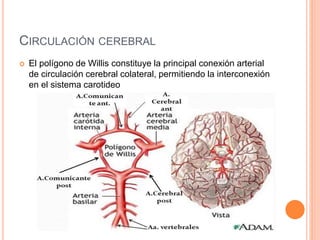 Patologìa vascular cerebral
