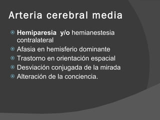 Arteria cerebral media Hemiparesia  y/o  hemianestesia contralateral Afasia en hemisferio dominante Trastorno en orientación espacial Desviación conjugada de la mirada Alteración de la conciencia. 