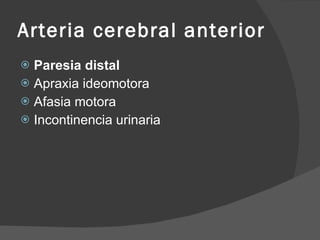 Arteria cerebral anterior Paresia distal Apraxia ideomotora  Afasia motora Incontinencia  urinaria 