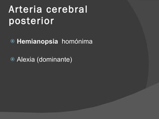 Arteria cerebral posterior Hemianopsia  homónima Alexia (dominante) 