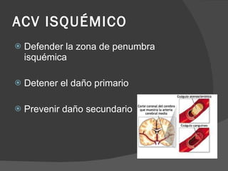 ACV ISQUÉMICO Defender la zona de penumbra isquémica Detener el daño primario Prevenir daño secundario 