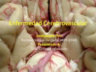 Enfermedad Cerebrovascular SustentadoPor: Herman Vargas Delgado	2009-0340. Presentado A: Dra. Elidaniavelasquez 