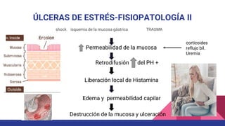 ÚLCERAS DE ESTRÉS-FISIOPATOLOGÍA II
shock isquemia de la mucosa gástrica TRAUMA
corticoides
reflujo bil.
Uremia
Permeabilidad de la mucosa
Retrodifusión del PH +
Liberación local de Histamina
Edema y permeabilidad capilar
Destrucción de la mucosa y ulceración
 